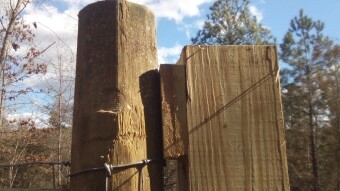 Apocalyptic Homesteading (Day 61-74)