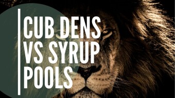 Comparing Cub Finance's Dens With PancakeSwap's Syrup Pools