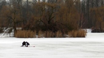 The first major thaw this year and plenty of sunshine - My Actifit Report Card: January 25, 2026