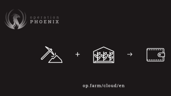 Operation Phoenix