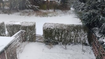 Tidying up the Garden after Winter