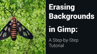 Erasing Backgrounds in Gimp: A Step-by-Step Tutorial