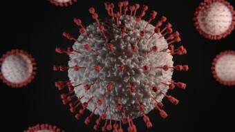 Covid-19 Coronavirus Finally Getting Coverage In The Mainstream Media: The Rapidly-Increasing Severity Of The Situation And A Few Things You Can Do About It