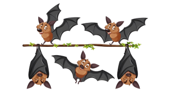 Blood-Sharing Bats and Fairness in Nature and Society