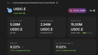 Earn More from Your Stablecoins: A Deep Dive into Summer.fi’s USDC Vault