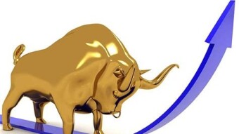 Do's and Don'ts in this upcoming bull run.