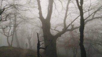 Night Hiking, Watching The Fog Drops | A Captivating Experience