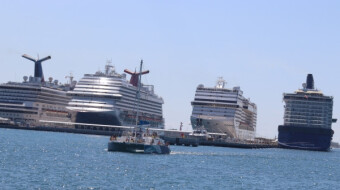 Cruise Lines: Princess or Carnival?