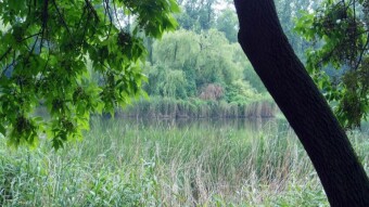 A pleasant Monday, without rain or heat - My Actifit Report Card: July 8 2024