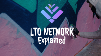 LTO Network Explained