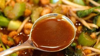 Chinese Food Brown Sauce