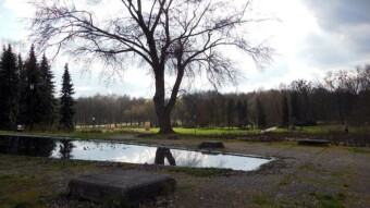 It was damp and cool, but still spring-like - My Actifit Report Card: March 5 2024