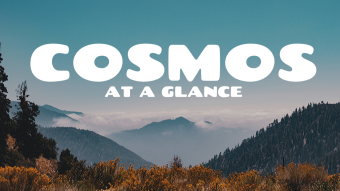 Cosmos (ATOM) at a glance