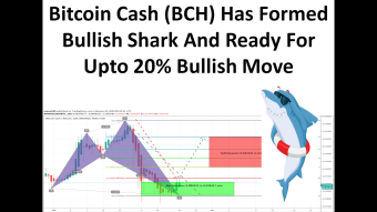 Bitcoin Cash (BCH) Has Formed Bullish Shark And Ready For Upto 20% Bullish Move | BCH Short Term Analysis