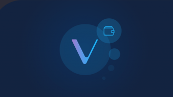 VeChain Coin Wallet 2020
