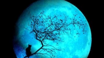 Once in a Blue  Moon