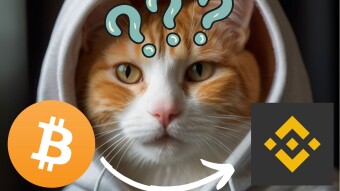 Binance User Assets Hit $100 Billion - Should I Trust Them?