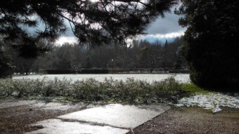 First walks in winter scenery - My Actifit Report Card: November 25 20236