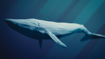 5 faits étonnants sur la Baleine Bleue !