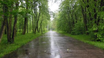 Today, cold, rainy and ugly - almost late autumn - My Actifit Report Card: May 17 2023