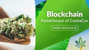 CannaCor - A clear vision for the development of the cannabis industry!