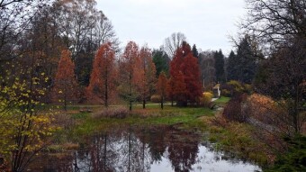 Cloudy Tuesday, but luckily no rain - My Actifit Report Card: November 11, 2025
