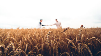 Short Analysis & What to Expect on FARM & Maker