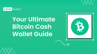 How to Choose the Best Bitcoin Cash Wallet? Your Ultimate BCH Wallet Guide