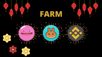 How to Triple LP Earnings with Ditto Money Compund Staking Program