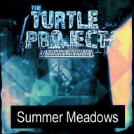 Summer Meadows by The Turtle Project