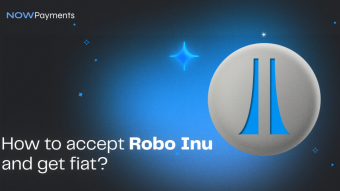 How to accept Robo Inu crypto and get fiat?