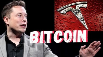 Tesla Will Accept Bitcoin Again... what we learned from "The B Word" w/ Elon Musk, Jack Dorsey, Cathie Wood and Steve Lee