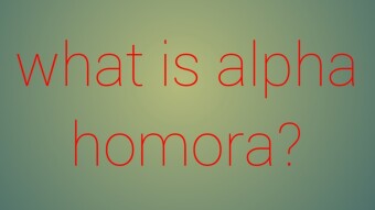 What is alpha homora?