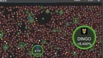 New $DOGE clone has a serious problem