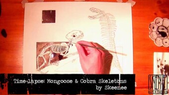 Speed Drawing: Mongoose & Cobra Skeletons