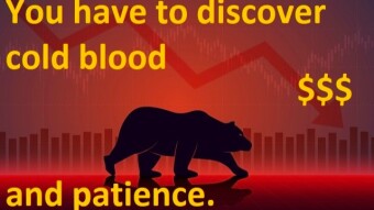 Why Do You Have to See the Bear Market Differently ?! And Relax!