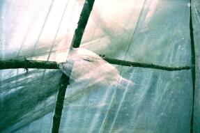 7 tracks of the week I.