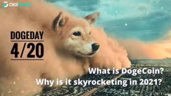 Why did Dogecoin collapse last week? What is this project that skyrocketed 200 times in 2021?