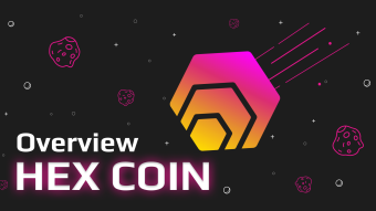 A Scam or An Emerging Company? Figuring Out What is HEX Coin