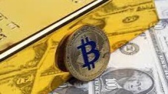Economic Shifts Incoming: Did you Hodl?