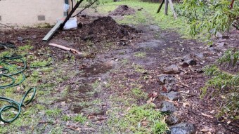 Getting the garden space ready...