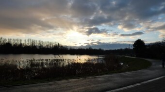 An ugly, rainy day, but the walk was completed - My Actifit Report Card: February 17 2024