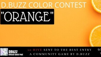 D.BUZZ COLOR CONTEST : Round 1 : ORANGE