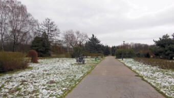It started innocently enough, the sun even appeared - Merry Christmas!! - My Actifit Report Card: December 23 2023