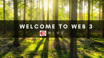 Seeing The Trees In The Forest