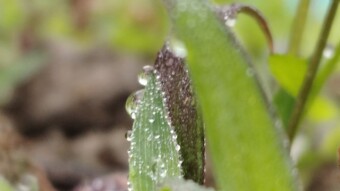 WATER DROPS Photography..