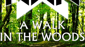 A Walk In The Woods
