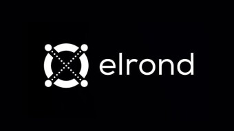 Elrond or not?