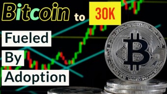 Bitcoin to 30K Fueled Purely By Adoption.