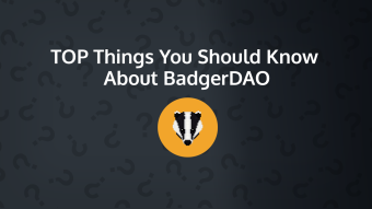 Top Things You Should Know About BadgerDAO (BADGER)